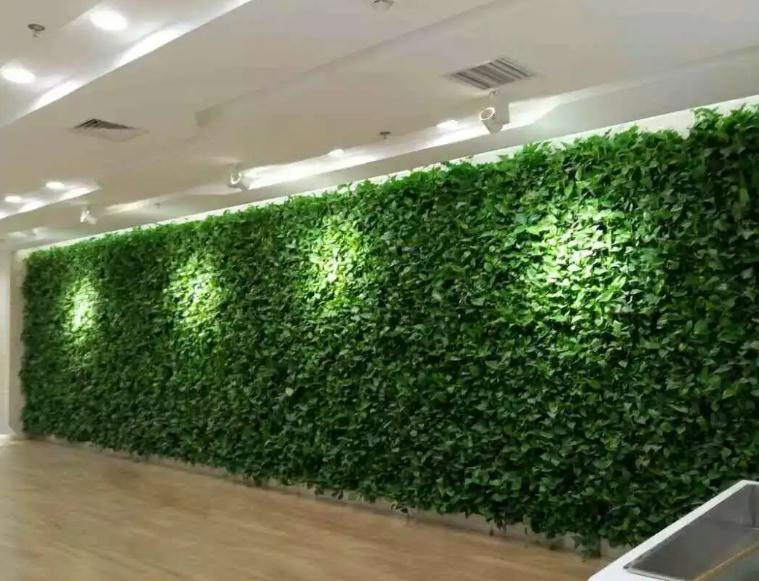 植物墙是用绿植编植成的墙面
