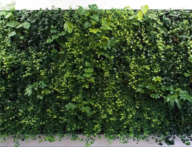 如何提高植物墙的品质