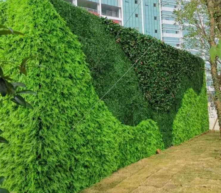 植物装饰墙怎么设计尺寸