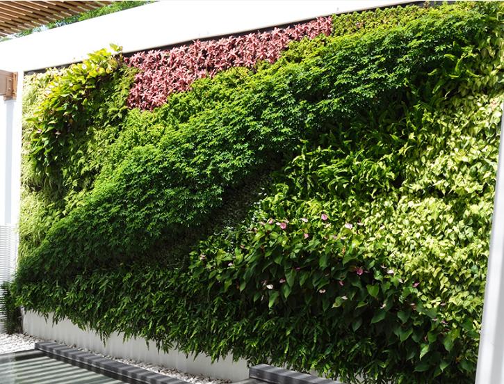永生植物墙与仿真植物墙的区别