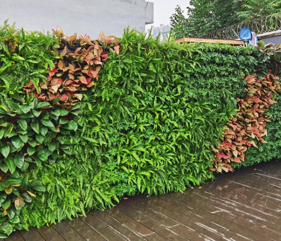 哪些地方不适合安装植物墙