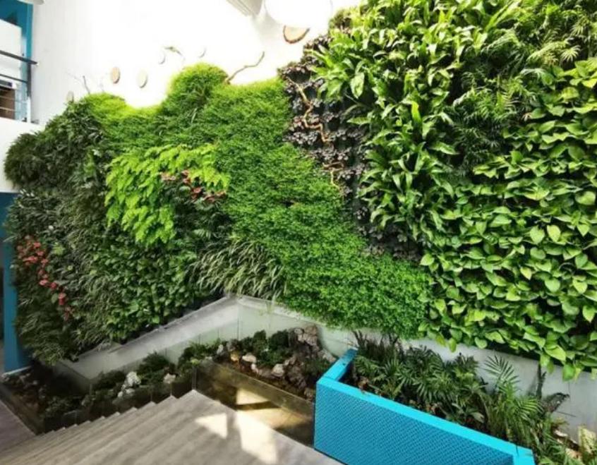 垂直绿化和活动墙的区别是什么