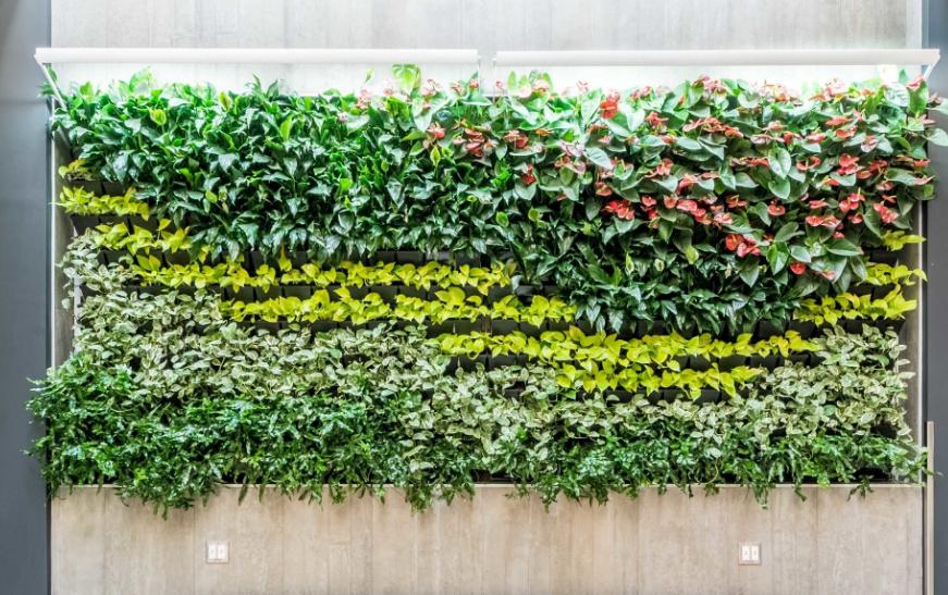 仿真植物墙与建筑如何更好结合起来
