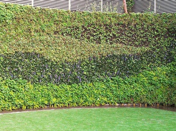 仿真植物墙适合种哪些植物