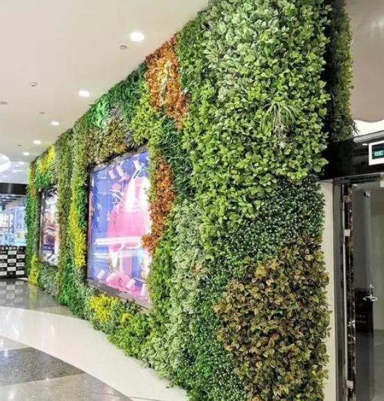 垂直绿化植物墙展现的独特美