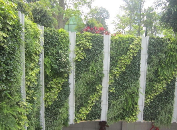 为什么立体绿化植物墙越来越受到青睐
