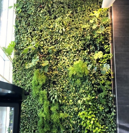 植物墙立体绿化设计及施工