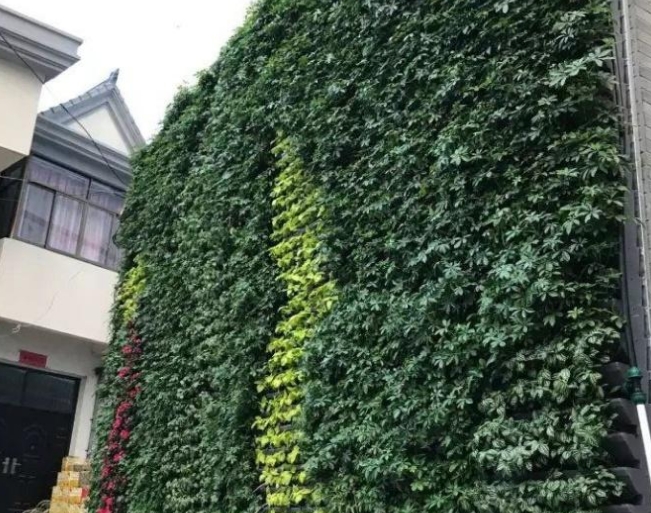 为什么要用植物墙装饰墙